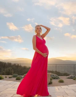 Flash Sale Seraphine Amaryllis | Maxi-Length Maternity-To-Nursing Dress With Pleat Details