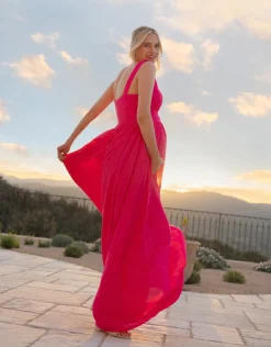 Flash Sale Seraphine Amaryllis | Maxi-Length Maternity-To-Nursing Dress With Pleat Details