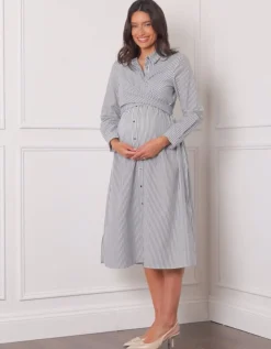 Online Seraphine Arianna | Cotton-Blend Stripe Maternity & Nursing Shirt Dress