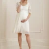 Online Seraphine Dani | Ivory Lace Top Pleated Maternity & Nursing Dress