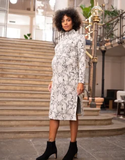 Cheap Seraphine Dulcie | Cotton Jacquard Maternity & Nursing Dress